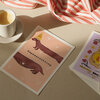 Speciale gelegenheden wenskaarten / Special Occasion Greeting Cards 5x Set