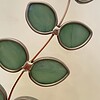 Glazen Eucalyptus