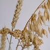 Neutraal Herfts Droogbloemen Boeket