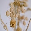 Neutraal Herfts Droogbloemen Boeket