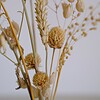 Neutraal Herfts Droogbloemen Boeket