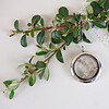 Gouden Bloemen Ketting met Zuid Afrikaanse Bloemen