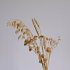 Neutraal Herfts Droogbloemen Boeket