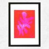 Monoprint Matisse pink