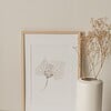 Inkttekening Hortensia bladeren Art Print A4