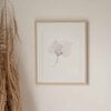 Inkttekening Hortensia bladeren Art Print A4