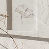 Inkttekening Ginkgo Art Print A4