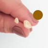 Oorbellen van echte schelpjes