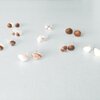 Oorbellen van echte schelpjes