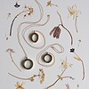 Droog Bloemen Pers DIY Kit met Drijvende Ketting Goud Groot