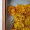 Bijzondere 3D Droogbloemen Kunstwerk van Van Gogh's Zonnebloemen - Unieke Decoratie