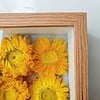 Bijzondere 3D Droogbloemen Kunstwerk van Van Gogh's Zonnebloemen - Unieke Decoratie