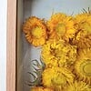 Bijzondere 3D Droogbloemen Kunstwerk van Van Gogh's Zonnebloemen - Unieke Decoratie