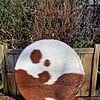 Een sjamanistische healingdrum workshop