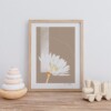 Geboortebloem April Madelief Fine Art Print