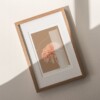 Geboortebloem November Chrysant Fine Art Print