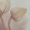 Kunstprint Bloem Fine Art Print