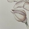 Kunstprint Bloem Roos Fine Art Print