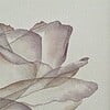 Kunstprint Bloem Roos Fine Art Print