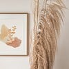 Kunstprint Eucalyptus The beauty of Curiosity Fine Art Print