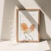 Kunstprint Klaproos Everyday Wonder Fine Art Print