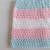 Muts 'transgender flag'