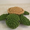 Schildpad - Sea turtle