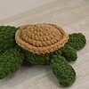 Schildpad - Sea turtle