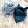 Bandana - eyes blue