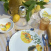 Botanical Wonders - Set van 4 dinerborden