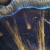 Combideal epoxy schaaltje ‘Ginkgo’ blauw + 2 amberblokjes