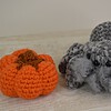 Decoratie pompoentjes