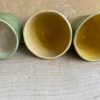Drie unieke bekers, voor de echte planten liefhebbers