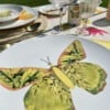 Farfalla - Piatti Maxi- Set van 4 maxi borden