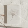 Kunstkaart Botanische Inkttekening A5 Set van 3 Art Print