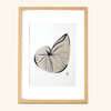Poster Big shell