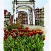 Schilderij Magere Brug Tulpen Amsterdam