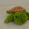 Schildpad - Sea turtle velvet