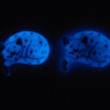 Slapende kosmische glow in the dark kitten magneet
