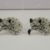 Slapende kosmische glow in the dark kitten magneet