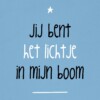 10-delige set papieren wensen - KERST