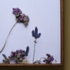 Bloemen Borduurwerk - Paarse bloemen uit Zuid-Afrika