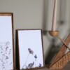 Bloemen Borduurwerk - Paarse bloemen uit Zuid-Afrika