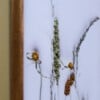 Bloemen Borduurwerk - wilde grasen uit Zuid Afrika