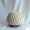 Brede Nautilus