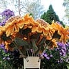 Gehaakte groet zonnebloemen