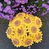 Gehaakte groet zonnebloemen