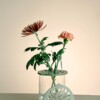 3-Delige Bloemhouder Set voor IKEA Cylinder Vazen