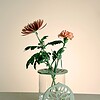 3-Delige Bloemhouder Set voor IKEA Cylinder Vazen