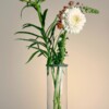 3-Delige Bloemhouder Set voor IKEA Cylinder Vazen